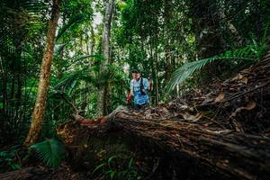 BIB: 
                            <button type="button" onclick="openModal(26425171)" class="btn btn-primary btn-sm float-right btn-popup" data-toggle="modal" data-target=".modal-high-quality">
                        <i class="fas fa-shopping-cart"></i> Add to Cart
                    </button>
                                            <button type="button" onclick="isThisMe(26425171, true)" class="btn btn-success btn-sm float-right btn-popup btn-isme hidden" data-toggle="tooltip" data-placement="bottom" title="นี่คือรูปของคุณใช่ไหม คลิกที่นี่เพื่อเอาเข้าอัลบั้ม">
                        <i class="fas fa-plus"></i> Add to album
                    </button>
                    <button type="button" onclick="isThisMe(26425171, false)" class="btn btn-warning btn-sm float-right btn-popup btn-isnotme hidden">
                        <i class="fas fa-ban"></i> Remove from album
                    </button>