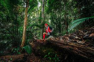 BIB: 
                            <button type="button" onclick="openModal(26425081)" class="btn btn-primary btn-sm float-right btn-popup" data-toggle="modal" data-target=".modal-high-quality">
                        <i class="fas fa-shopping-cart"></i> Add to Cart
                    </button>
                                            <button type="button" onclick="isThisMe(26425081, true)" class="btn btn-success btn-sm float-right btn-popup btn-isme hidden" data-toggle="tooltip" data-placement="bottom" title="นี่คือรูปของคุณใช่ไหม คลิกที่นี่เพื่อเอาเข้าอัลบั้ม">
                        <i class="fas fa-plus"></i> Add to album
                    </button>
                    <button type="button" onclick="isThisMe(26425081, false)" class="btn btn-warning btn-sm float-right btn-popup btn-isnotme hidden">
                        <i class="fas fa-ban"></i> Remove from album
                    </button>