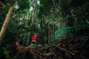 BIB: 
                            <button type="button" onclick="openModal(26432271)" class="btn btn-primary btn-sm float-right btn-popup" data-toggle="modal" data-target=".modal-high-quality">
                        <i class="fas fa-shopping-cart"></i> Add to Cart
                    </button>
                                            <button type="button" onclick="isThisMe(26432271, true)" class="btn btn-success btn-sm float-right btn-popup btn-isme hidden" data-toggle="tooltip" data-placement="bottom" title="นี่คือรูปของคุณใช่ไหม คลิกที่นี่เพื่อเอาเข้าอัลบั้ม">
                        <i class="fas fa-plus"></i> Add to album
                    </button>
                    <button type="button" onclick="isThisMe(26432271, false)" class="btn btn-warning btn-sm float-right btn-popup btn-isnotme hidden">
                        <i class="fas fa-ban"></i> Remove from album
                    </button>