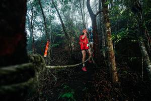 BIB: 
                            <button type="button" onclick="openModal(26401428)" class="btn btn-primary btn-sm float-right btn-popup" data-toggle="modal" data-target=".modal-high-quality">
                        <i class="fas fa-shopping-cart"></i> Add to Cart
                    </button>
                                            <button type="button" onclick="isThisMe(26401428, true)" class="btn btn-success btn-sm float-right btn-popup btn-isme hidden" data-toggle="tooltip" data-placement="bottom" title="นี่คือรูปของคุณใช่ไหม คลิกที่นี่เพื่อเอาเข้าอัลบั้ม">
                        <i class="fas fa-plus"></i> Add to album
                    </button>
                    <button type="button" onclick="isThisMe(26401428, false)" class="btn btn-warning btn-sm float-right btn-popup btn-isnotme hidden">
                        <i class="fas fa-ban"></i> Remove from album
                    </button>