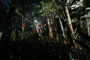 BIB: 
                            <button type="button" onclick="openModal(26386756)" class="btn btn-primary btn-sm float-right btn-popup" data-toggle="modal" data-target=".modal-high-quality">
                        <i class="fas fa-shopping-cart"></i> Add to Cart
                    </button>
                                            <button type="button" onclick="isThisMe(26386756, true)" class="btn btn-success btn-sm float-right btn-popup btn-isme hidden" data-toggle="tooltip" data-placement="bottom" title="นี่คือรูปของคุณใช่ไหม คลิกที่นี่เพื่อเอาเข้าอัลบั้ม">
                        <i class="fas fa-plus"></i> Add to album
                    </button>
                    <button type="button" onclick="isThisMe(26386756, false)" class="btn btn-warning btn-sm float-right btn-popup btn-isnotme hidden">
                        <i class="fas fa-ban"></i> Remove from album
                    </button>