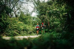 BIB: 
                            <button type="button" onclick="openModal(26409541)" class="btn btn-primary btn-sm float-right btn-popup" data-toggle="modal" data-target=".modal-high-quality">
                        <i class="fas fa-shopping-cart"></i> Add to Cart
                    </button>
                                            <button type="button" onclick="isThisMe(26409541, true)" class="btn btn-success btn-sm float-right btn-popup btn-isme hidden" data-toggle="tooltip" data-placement="bottom" title="นี่คือรูปของคุณใช่ไหม คลิกที่นี่เพื่อเอาเข้าอัลบั้ม">
                        <i class="fas fa-plus"></i> Add to album
                    </button>
                    <button type="button" onclick="isThisMe(26409541, false)" class="btn btn-warning btn-sm float-right btn-popup btn-isnotme hidden">
                        <i class="fas fa-ban"></i> Remove from album
                    </button>