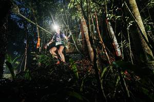 BIB: 
                            <button type="button" onclick="openModal(26387196)" class="btn btn-primary btn-sm float-right btn-popup" data-toggle="modal" data-target=".modal-high-quality">
                        <i class="fas fa-shopping-cart"></i> Add to Cart
                    </button>
                                            <button type="button" onclick="isThisMe(26387196, true)" class="btn btn-success btn-sm float-right btn-popup btn-isme hidden" data-toggle="tooltip" data-placement="bottom" title="นี่คือรูปของคุณใช่ไหม คลิกที่นี่เพื่อเอาเข้าอัลบั้ม">
                        <i class="fas fa-plus"></i> Add to album
                    </button>
                    <button type="button" onclick="isThisMe(26387196, false)" class="btn btn-warning btn-sm float-right btn-popup btn-isnotme hidden">
                        <i class="fas fa-ban"></i> Remove from album
                    </button>