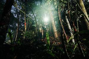 BIB: 
                            <button type="button" onclick="openModal(26388366)" class="btn btn-primary btn-sm float-right btn-popup" data-toggle="modal" data-target=".modal-high-quality">
                        <i class="fas fa-shopping-cart"></i> Add to Cart
                    </button>
                                            <button type="button" onclick="isThisMe(26388366, true)" class="btn btn-success btn-sm float-right btn-popup btn-isme hidden" data-toggle="tooltip" data-placement="bottom" title="นี่คือรูปของคุณใช่ไหม คลิกที่นี่เพื่อเอาเข้าอัลบั้ม">
                        <i class="fas fa-plus"></i> Add to album
                    </button>
                    <button type="button" onclick="isThisMe(26388366, false)" class="btn btn-warning btn-sm float-right btn-popup btn-isnotme hidden">
                        <i class="fas fa-ban"></i> Remove from album
                    </button>