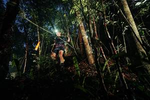 BIB: 
                            <button type="button" onclick="openModal(26387426)" class="btn btn-primary btn-sm float-right btn-popup" data-toggle="modal" data-target=".modal-high-quality">
                        <i class="fas fa-shopping-cart"></i> Add to Cart
                    </button>
                                            <button type="button" onclick="isThisMe(26387426, true)" class="btn btn-success btn-sm float-right btn-popup btn-isme hidden" data-toggle="tooltip" data-placement="bottom" title="นี่คือรูปของคุณใช่ไหม คลิกที่นี่เพื่อเอาเข้าอัลบั้ม">
                        <i class="fas fa-plus"></i> Add to album
                    </button>
                    <button type="button" onclick="isThisMe(26387426, false)" class="btn btn-warning btn-sm float-right btn-popup btn-isnotme hidden">
                        <i class="fas fa-ban"></i> Remove from album
                    </button>