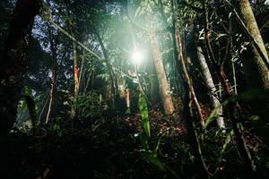 BIB: 
                            <button type="button" onclick="openModal(26388369)" class="btn btn-primary btn-sm float-right btn-popup" data-toggle="modal" data-target=".modal-high-quality">
                        <i class="fas fa-shopping-cart"></i> Add to Cart
                    </button>
                                            <button type="button" onclick="isThisMe(26388369, true)" class="btn btn-success btn-sm float-right btn-popup btn-isme hidden" data-toggle="tooltip" data-placement="bottom" title="นี่คือรูปของคุณใช่ไหม คลิกที่นี่เพื่อเอาเข้าอัลบั้ม">
                        <i class="fas fa-plus"></i> Add to album
                    </button>
                    <button type="button" onclick="isThisMe(26388369, false)" class="btn btn-warning btn-sm float-right btn-popup btn-isnotme hidden">
                        <i class="fas fa-ban"></i> Remove from album
                    </button>