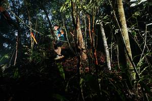 BIB: 
                            <button type="button" onclick="openModal(26389967)" class="btn btn-primary btn-sm float-right btn-popup" data-toggle="modal" data-target=".modal-high-quality">
                        <i class="fas fa-shopping-cart"></i> Add to Cart
                    </button>
                                            <button type="button" onclick="isThisMe(26389967, true)" class="btn btn-success btn-sm float-right btn-popup btn-isme hidden" data-toggle="tooltip" data-placement="bottom" title="นี่คือรูปของคุณใช่ไหม คลิกที่นี่เพื่อเอาเข้าอัลบั้ม">
                        <i class="fas fa-plus"></i> Add to album
                    </button>
                    <button type="button" onclick="isThisMe(26389967, false)" class="btn btn-warning btn-sm float-right btn-popup btn-isnotme hidden">
                        <i class="fas fa-ban"></i> Remove from album
                    </button>