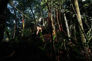 BIB: 
                            <button type="button" onclick="openModal(26390222)" class="btn btn-primary btn-sm float-right btn-popup" data-toggle="modal" data-target=".modal-high-quality">
                        <i class="fas fa-shopping-cart"></i> Add to Cart
                    </button>
                                            <button type="button" onclick="isThisMe(26390222, true)" class="btn btn-success btn-sm float-right btn-popup btn-isme hidden" data-toggle="tooltip" data-placement="bottom" title="นี่คือรูปของคุณใช่ไหม คลิกที่นี่เพื่อเอาเข้าอัลบั้ม">
                        <i class="fas fa-plus"></i> Add to album
                    </button>
                    <button type="button" onclick="isThisMe(26390222, false)" class="btn btn-warning btn-sm float-right btn-popup btn-isnotme hidden">
                        <i class="fas fa-ban"></i> Remove from album
                    </button>