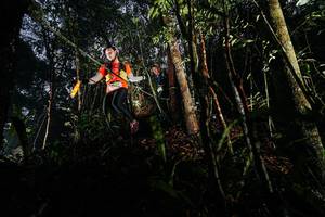 BIB: 
                            <button type="button" onclick="openModal(26388863)" class="btn btn-primary btn-sm float-right btn-popup" data-toggle="modal" data-target=".modal-high-quality">
                        <i class="fas fa-shopping-cart"></i> Add to Cart
                    </button>
                                            <button type="button" onclick="isThisMe(26388863, true)" class="btn btn-success btn-sm float-right btn-popup btn-isme hidden" data-toggle="tooltip" data-placement="bottom" title="นี่คือรูปของคุณใช่ไหม คลิกที่นี่เพื่อเอาเข้าอัลบั้ม">
                        <i class="fas fa-plus"></i> Add to album
                    </button>
                    <button type="button" onclick="isThisMe(26388863, false)" class="btn btn-warning btn-sm float-right btn-popup btn-isnotme hidden">
                        <i class="fas fa-ban"></i> Remove from album
                    </button>