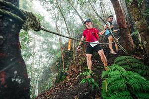 BIB: 
                            <button type="button" onclick="openModal(26402766)" class="btn btn-primary btn-sm float-right btn-popup" data-toggle="modal" data-target=".modal-high-quality">
                        <i class="fas fa-shopping-cart"></i> Add to Cart
                    </button>
                                            <button type="button" onclick="isThisMe(26402766, true)" class="btn btn-success btn-sm float-right btn-popup btn-isme hidden" data-toggle="tooltip" data-placement="bottom" title="นี่คือรูปของคุณใช่ไหม คลิกที่นี่เพื่อเอาเข้าอัลบั้ม">
                        <i class="fas fa-plus"></i> Add to album
                    </button>
                    <button type="button" onclick="isThisMe(26402766, false)" class="btn btn-warning btn-sm float-right btn-popup btn-isnotme hidden">
                        <i class="fas fa-ban"></i> Remove from album
                    </button>