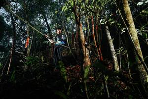 BIB: 
                            <button type="button" onclick="openModal(26393620)" class="btn btn-primary btn-sm float-right btn-popup" data-toggle="modal" data-target=".modal-high-quality">
                        <i class="fas fa-shopping-cart"></i> Add to Cart
                    </button>
                                            <button type="button" onclick="isThisMe(26393620, true)" class="btn btn-success btn-sm float-right btn-popup btn-isme hidden" data-toggle="tooltip" data-placement="bottom" title="นี่คือรูปของคุณใช่ไหม คลิกที่นี่เพื่อเอาเข้าอัลบั้ม">
                        <i class="fas fa-plus"></i> Add to album
                    </button>
                    <button type="button" onclick="isThisMe(26393620, false)" class="btn btn-warning btn-sm float-right btn-popup btn-isnotme hidden">
                        <i class="fas fa-ban"></i> Remove from album
                    </button>