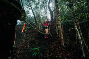 BIB: 
                            <button type="button" onclick="openModal(26401809)" class="btn btn-primary btn-sm float-right btn-popup" data-toggle="modal" data-target=".modal-high-quality">
                        <i class="fas fa-shopping-cart"></i> Add to Cart
                    </button>
                                            <button type="button" onclick="isThisMe(26401809, true)" class="btn btn-success btn-sm float-right btn-popup btn-isme hidden" data-toggle="tooltip" data-placement="bottom" title="นี่คือรูปของคุณใช่ไหม คลิกที่นี่เพื่อเอาเข้าอัลบั้ม">
                        <i class="fas fa-plus"></i> Add to album
                    </button>
                    <button type="button" onclick="isThisMe(26401809, false)" class="btn btn-warning btn-sm float-right btn-popup btn-isnotme hidden">
                        <i class="fas fa-ban"></i> Remove from album
                    </button>