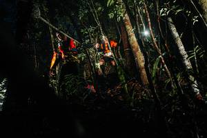 BIB: 
                            <button type="button" onclick="openModal(26385953)" class="btn btn-primary btn-sm float-right btn-popup" data-toggle="modal" data-target=".modal-high-quality">
                        <i class="fas fa-shopping-cart"></i> Add to Cart
                    </button>
                                            <button type="button" onclick="isThisMe(26385953, true)" class="btn btn-success btn-sm float-right btn-popup btn-isme hidden" data-toggle="tooltip" data-placement="bottom" title="นี่คือรูปของคุณใช่ไหม คลิกที่นี่เพื่อเอาเข้าอัลบั้ม">
                        <i class="fas fa-plus"></i> Add to album
                    </button>
                    <button type="button" onclick="isThisMe(26385953, false)" class="btn btn-warning btn-sm float-right btn-popup btn-isnotme hidden">
                        <i class="fas fa-ban"></i> Remove from album
                    </button>