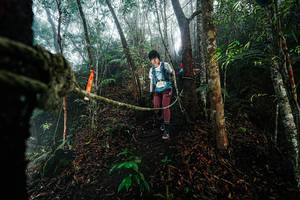 BIB: 
                            <button type="button" onclick="openModal(26402116)" class="btn btn-primary btn-sm float-right btn-popup" data-toggle="modal" data-target=".modal-high-quality">
                        <i class="fas fa-shopping-cart"></i> Add to Cart
                    </button>
                                            <button type="button" onclick="isThisMe(26402116, true)" class="btn btn-success btn-sm float-right btn-popup btn-isme hidden" data-toggle="tooltip" data-placement="bottom" title="นี่คือรูปของคุณใช่ไหม คลิกที่นี่เพื่อเอาเข้าอัลบั้ม">
                        <i class="fas fa-plus"></i> Add to album
                    </button>
                    <button type="button" onclick="isThisMe(26402116, false)" class="btn btn-warning btn-sm float-right btn-popup btn-isnotme hidden">
                        <i class="fas fa-ban"></i> Remove from album
                    </button>