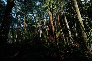 BIB: 
                            <button type="button" onclick="openModal(26391058)" class="btn btn-primary btn-sm float-right btn-popup" data-toggle="modal" data-target=".modal-high-quality">
                        <i class="fas fa-shopping-cart"></i> Add to Cart
                    </button>
                                            <button type="button" onclick="isThisMe(26391058, true)" class="btn btn-success btn-sm float-right btn-popup btn-isme hidden" data-toggle="tooltip" data-placement="bottom" title="นี่คือรูปของคุณใช่ไหม คลิกที่นี่เพื่อเอาเข้าอัลบั้ม">
                        <i class="fas fa-plus"></i> Add to album
                    </button>
                    <button type="button" onclick="isThisMe(26391058, false)" class="btn btn-warning btn-sm float-right btn-popup btn-isnotme hidden">
                        <i class="fas fa-ban"></i> Remove from album
                    </button>