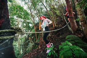 BIB: 
                            <button type="button" onclick="openModal(26403116)" class="btn btn-primary btn-sm float-right btn-popup" data-toggle="modal" data-target=".modal-high-quality">
                        <i class="fas fa-shopping-cart"></i> Add to Cart
                    </button>
                                            <button type="button" onclick="isThisMe(26403116, true)" class="btn btn-success btn-sm float-right btn-popup btn-isme hidden" data-toggle="tooltip" data-placement="bottom" title="นี่คือรูปของคุณใช่ไหม คลิกที่นี่เพื่อเอาเข้าอัลบั้ม">
                        <i class="fas fa-plus"></i> Add to album
                    </button>
                    <button type="button" onclick="isThisMe(26403116, false)" class="btn btn-warning btn-sm float-right btn-popup btn-isnotme hidden">
                        <i class="fas fa-ban"></i> Remove from album
                    </button>