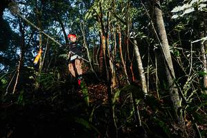 BIB: 
                            <button type="button" onclick="openModal(26391628)" class="btn btn-primary btn-sm float-right btn-popup" data-toggle="modal" data-target=".modal-high-quality">
                        <i class="fas fa-shopping-cart"></i> Add to Cart
                    </button>
                                            <button type="button" onclick="isThisMe(26391628, true)" class="btn btn-success btn-sm float-right btn-popup btn-isme hidden" data-toggle="tooltip" data-placement="bottom" title="นี่คือรูปของคุณใช่ไหม คลิกที่นี่เพื่อเอาเข้าอัลบั้ม">
                        <i class="fas fa-plus"></i> Add to album
                    </button>
                    <button type="button" onclick="isThisMe(26391628, false)" class="btn btn-warning btn-sm float-right btn-popup btn-isnotme hidden">
                        <i class="fas fa-ban"></i> Remove from album
                    </button>