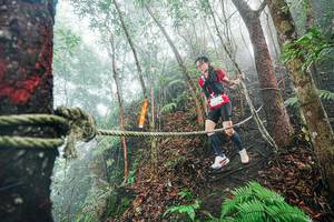 BIB: 
                            <button type="button" onclick="openModal(26402367)" class="btn btn-primary btn-sm float-right btn-popup" data-toggle="modal" data-target=".modal-high-quality">
                        <i class="fas fa-shopping-cart"></i> Add to Cart
                    </button>
                                            <button type="button" onclick="isThisMe(26402367, true)" class="btn btn-success btn-sm float-right btn-popup btn-isme hidden" data-toggle="tooltip" data-placement="bottom" title="นี่คือรูปของคุณใช่ไหม คลิกที่นี่เพื่อเอาเข้าอัลบั้ม">
                        <i class="fas fa-plus"></i> Add to album
                    </button>
                    <button type="button" onclick="isThisMe(26402367, false)" class="btn btn-warning btn-sm float-right btn-popup btn-isnotme hidden">
                        <i class="fas fa-ban"></i> Remove from album
                    </button>