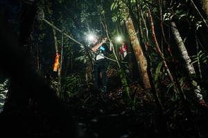 BIB: 
                            <button type="button" onclick="openModal(26385890)" class="btn btn-primary btn-sm float-right btn-popup" data-toggle="modal" data-target=".modal-high-quality">
                        <i class="fas fa-shopping-cart"></i> Add to Cart
                    </button>
                                            <button type="button" onclick="isThisMe(26385890, true)" class="btn btn-success btn-sm float-right btn-popup btn-isme hidden" data-toggle="tooltip" data-placement="bottom" title="นี่คือรูปของคุณใช่ไหม คลิกที่นี่เพื่อเอาเข้าอัลบั้ม">
                        <i class="fas fa-plus"></i> Add to album
                    </button>
                    <button type="button" onclick="isThisMe(26385890, false)" class="btn btn-warning btn-sm float-right btn-popup btn-isnotme hidden">
                        <i class="fas fa-ban"></i> Remove from album
                    </button>