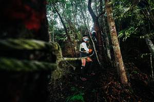 BIB: 
                            <button type="button" onclick="openModal(26397125)" class="btn btn-primary btn-sm float-right btn-popup" data-toggle="modal" data-target=".modal-high-quality">
                        <i class="fas fa-shopping-cart"></i> Add to Cart
                    </button>
                                            <button type="button" onclick="isThisMe(26397125, true)" class="btn btn-success btn-sm float-right btn-popup btn-isme hidden" data-toggle="tooltip" data-placement="bottom" title="นี่คือรูปของคุณใช่ไหม คลิกที่นี่เพื่อเอาเข้าอัลบั้ม">
                        <i class="fas fa-plus"></i> Add to album
                    </button>
                    <button type="button" onclick="isThisMe(26397125, false)" class="btn btn-warning btn-sm float-right btn-popup btn-isnotme hidden">
                        <i class="fas fa-ban"></i> Remove from album
                    </button>