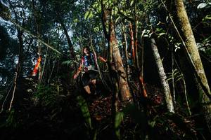 BIB: 
                            <button type="button" onclick="openModal(26393134)" class="btn btn-primary btn-sm float-right btn-popup" data-toggle="modal" data-target=".modal-high-quality">
                        <i class="fas fa-shopping-cart"></i> Add to Cart
                    </button>
                                            <button type="button" onclick="isThisMe(26393134, true)" class="btn btn-success btn-sm float-right btn-popup btn-isme hidden" data-toggle="tooltip" data-placement="bottom" title="นี่คือรูปของคุณใช่ไหม คลิกที่นี่เพื่อเอาเข้าอัลบั้ม">
                        <i class="fas fa-plus"></i> Add to album
                    </button>
                    <button type="button" onclick="isThisMe(26393134, false)" class="btn btn-warning btn-sm float-right btn-popup btn-isnotme hidden">
                        <i class="fas fa-ban"></i> Remove from album
                    </button>