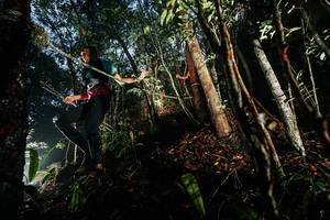 BIB: 
                            <button type="button" onclick="openModal(26389637)" class="btn btn-primary btn-sm float-right btn-popup" data-toggle="modal" data-target=".modal-high-quality">
                        <i class="fas fa-shopping-cart"></i> Add to Cart
                    </button>
                                            <button type="button" onclick="isThisMe(26389637, true)" class="btn btn-success btn-sm float-right btn-popup btn-isme hidden" data-toggle="tooltip" data-placement="bottom" title="นี่คือรูปของคุณใช่ไหม คลิกที่นี่เพื่อเอาเข้าอัลบั้ม">
                        <i class="fas fa-plus"></i> Add to album
                    </button>
                    <button type="button" onclick="isThisMe(26389637, false)" class="btn btn-warning btn-sm float-right btn-popup btn-isnotme hidden">
                        <i class="fas fa-ban"></i> Remove from album
                    </button>