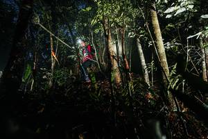 BIB: 
                            <button type="button" onclick="openModal(26386803)" class="btn btn-primary btn-sm float-right btn-popup" data-toggle="modal" data-target=".modal-high-quality">
                        <i class="fas fa-shopping-cart"></i> Add to Cart
                    </button>
                                            <button type="button" onclick="isThisMe(26386803, true)" class="btn btn-success btn-sm float-right btn-popup btn-isme hidden" data-toggle="tooltip" data-placement="bottom" title="นี่คือรูปของคุณใช่ไหม คลิกที่นี่เพื่อเอาเข้าอัลบั้ม">
                        <i class="fas fa-plus"></i> Add to album
                    </button>
                    <button type="button" onclick="isThisMe(26386803, false)" class="btn btn-warning btn-sm float-right btn-popup btn-isnotme hidden">
                        <i class="fas fa-ban"></i> Remove from album
                    </button>