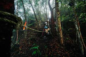 BIB: 
                            <button type="button" onclick="openModal(26402080)" class="btn btn-primary btn-sm float-right btn-popup" data-toggle="modal" data-target=".modal-high-quality">
                        <i class="fas fa-shopping-cart"></i> Add to Cart
                    </button>
                                            <button type="button" onclick="isThisMe(26402080, true)" class="btn btn-success btn-sm float-right btn-popup btn-isme hidden" data-toggle="tooltip" data-placement="bottom" title="นี่คือรูปของคุณใช่ไหม คลิกที่นี่เพื่อเอาเข้าอัลบั้ม">
                        <i class="fas fa-plus"></i> Add to album
                    </button>
                    <button type="button" onclick="isThisMe(26402080, false)" class="btn btn-warning btn-sm float-right btn-popup btn-isnotme hidden">
                        <i class="fas fa-ban"></i> Remove from album
                    </button>