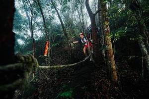 BIB: 
                            <button type="button" onclick="openModal(26401176)" class="btn btn-primary btn-sm float-right btn-popup" data-toggle="modal" data-target=".modal-high-quality">
                        <i class="fas fa-shopping-cart"></i> Add to Cart
                    </button>
                                            <button type="button" onclick="isThisMe(26401176, true)" class="btn btn-success btn-sm float-right btn-popup btn-isme hidden" data-toggle="tooltip" data-placement="bottom" title="นี่คือรูปของคุณใช่ไหม คลิกที่นี่เพื่อเอาเข้าอัลบั้ม">
                        <i class="fas fa-plus"></i> Add to album
                    </button>
                    <button type="button" onclick="isThisMe(26401176, false)" class="btn btn-warning btn-sm float-right btn-popup btn-isnotme hidden">
                        <i class="fas fa-ban"></i> Remove from album
                    </button>