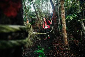 BIB: 
                            <button type="button" onclick="openModal(26400323)" class="btn btn-primary btn-sm float-right btn-popup" data-toggle="modal" data-target=".modal-high-quality">
                        <i class="fas fa-shopping-cart"></i> Add to Cart
                    </button>
                                            <button type="button" onclick="isThisMe(26400323, true)" class="btn btn-success btn-sm float-right btn-popup btn-isme hidden" data-toggle="tooltip" data-placement="bottom" title="นี่คือรูปของคุณใช่ไหม คลิกที่นี่เพื่อเอาเข้าอัลบั้ม">
                        <i class="fas fa-plus"></i> Add to album
                    </button>
                    <button type="button" onclick="isThisMe(26400323, false)" class="btn btn-warning btn-sm float-right btn-popup btn-isnotme hidden">
                        <i class="fas fa-ban"></i> Remove from album
                    </button>