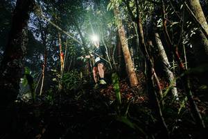 BIB: 
                            <button type="button" onclick="openModal(26388370)" class="btn btn-primary btn-sm float-right btn-popup" data-toggle="modal" data-target=".modal-high-quality">
                        <i class="fas fa-shopping-cart"></i> Add to Cart
                    </button>
                                            <button type="button" onclick="isThisMe(26388370, true)" class="btn btn-success btn-sm float-right btn-popup btn-isme hidden" data-toggle="tooltip" data-placement="bottom" title="นี่คือรูปของคุณใช่ไหม คลิกที่นี่เพื่อเอาเข้าอัลบั้ม">
                        <i class="fas fa-plus"></i> Add to album
                    </button>
                    <button type="button" onclick="isThisMe(26388370, false)" class="btn btn-warning btn-sm float-right btn-popup btn-isnotme hidden">
                        <i class="fas fa-ban"></i> Remove from album
                    </button>