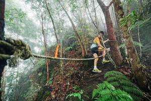 BIB: 
                            <button type="button" onclick="openModal(26402558)" class="btn btn-primary btn-sm float-right btn-popup" data-toggle="modal" data-target=".modal-high-quality">
                        <i class="fas fa-shopping-cart"></i> Add to Cart
                    </button>
                                            <button type="button" onclick="isThisMe(26402558, true)" class="btn btn-success btn-sm float-right btn-popup btn-isme hidden" data-toggle="tooltip" data-placement="bottom" title="นี่คือรูปของคุณใช่ไหม คลิกที่นี่เพื่อเอาเข้าอัลบั้ม">
                        <i class="fas fa-plus"></i> Add to album
                    </button>
                    <button type="button" onclick="isThisMe(26402558, false)" class="btn btn-warning btn-sm float-right btn-popup btn-isnotme hidden">
                        <i class="fas fa-ban"></i> Remove from album
                    </button>