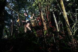 BIB: 
                            <button type="button" onclick="openModal(26390150)" class="btn btn-primary btn-sm float-right btn-popup" data-toggle="modal" data-target=".modal-high-quality">
                        <i class="fas fa-shopping-cart"></i> Add to Cart
                    </button>
                                            <button type="button" onclick="isThisMe(26390150, true)" class="btn btn-success btn-sm float-right btn-popup btn-isme hidden" data-toggle="tooltip" data-placement="bottom" title="นี่คือรูปของคุณใช่ไหม คลิกที่นี่เพื่อเอาเข้าอัลบั้ม">
                        <i class="fas fa-plus"></i> Add to album
                    </button>
                    <button type="button" onclick="isThisMe(26390150, false)" class="btn btn-warning btn-sm float-right btn-popup btn-isnotme hidden">
                        <i class="fas fa-ban"></i> Remove from album
                    </button>