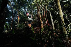 BIB: 
                            <button type="button" onclick="openModal(26390195)" class="btn btn-primary btn-sm float-right btn-popup" data-toggle="modal" data-target=".modal-high-quality">
                        <i class="fas fa-shopping-cart"></i> Add to Cart
                    </button>
                                            <button type="button" onclick="isThisMe(26390195, true)" class="btn btn-success btn-sm float-right btn-popup btn-isme hidden" data-toggle="tooltip" data-placement="bottom" title="นี่คือรูปของคุณใช่ไหม คลิกที่นี่เพื่อเอาเข้าอัลบั้ม">
                        <i class="fas fa-plus"></i> Add to album
                    </button>
                    <button type="button" onclick="isThisMe(26390195, false)" class="btn btn-warning btn-sm float-right btn-popup btn-isnotme hidden">
                        <i class="fas fa-ban"></i> Remove from album
                    </button>