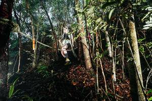 BIB: 
                            <button type="button" onclick="openModal(26394436)" class="btn btn-primary btn-sm float-right btn-popup" data-toggle="modal" data-target=".modal-high-quality">
                        <i class="fas fa-shopping-cart"></i> Add to Cart
                    </button>
                                            <button type="button" onclick="isThisMe(26394436, true)" class="btn btn-success btn-sm float-right btn-popup btn-isme hidden" data-toggle="tooltip" data-placement="bottom" title="นี่คือรูปของคุณใช่ไหม คลิกที่นี่เพื่อเอาเข้าอัลบั้ม">
                        <i class="fas fa-plus"></i> Add to album
                    </button>
                    <button type="button" onclick="isThisMe(26394436, false)" class="btn btn-warning btn-sm float-right btn-popup btn-isnotme hidden">
                        <i class="fas fa-ban"></i> Remove from album
                    </button>