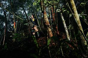 BIB: 
                            <button type="button" onclick="openModal(26393742)" class="btn btn-primary btn-sm float-right btn-popup" data-toggle="modal" data-target=".modal-high-quality">
                        <i class="fas fa-shopping-cart"></i> Add to Cart
                    </button>
                                            <button type="button" onclick="isThisMe(26393742, true)" class="btn btn-success btn-sm float-right btn-popup btn-isme hidden" data-toggle="tooltip" data-placement="bottom" title="นี่คือรูปของคุณใช่ไหม คลิกที่นี่เพื่อเอาเข้าอัลบั้ม">
                        <i class="fas fa-plus"></i> Add to album
                    </button>
                    <button type="button" onclick="isThisMe(26393742, false)" class="btn btn-warning btn-sm float-right btn-popup btn-isnotme hidden">
                        <i class="fas fa-ban"></i> Remove from album
                    </button>