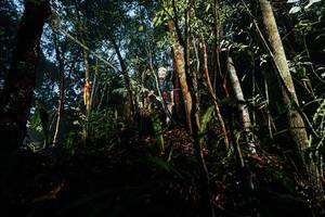 BIB: 
                            <button type="button" onclick="openModal(26391015)" class="btn btn-primary btn-sm float-right btn-popup" data-toggle="modal" data-target=".modal-high-quality">
                        <i class="fas fa-shopping-cart"></i> Add to Cart
                    </button>
                                            <button type="button" onclick="isThisMe(26391015, true)" class="btn btn-success btn-sm float-right btn-popup btn-isme hidden" data-toggle="tooltip" data-placement="bottom" title="นี่คือรูปของคุณใช่ไหม คลิกที่นี่เพื่อเอาเข้าอัลบั้ม">
                        <i class="fas fa-plus"></i> Add to album
                    </button>
                    <button type="button" onclick="isThisMe(26391015, false)" class="btn btn-warning btn-sm float-right btn-popup btn-isnotme hidden">
                        <i class="fas fa-ban"></i> Remove from album
                    </button>