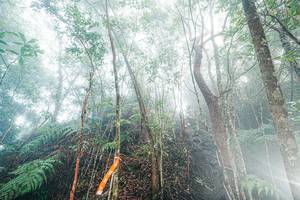 BIB: 
                            <button type="button" onclick="openModal(26402308)" class="btn btn-primary btn-sm float-right btn-popup" data-toggle="modal" data-target=".modal-high-quality">
                        <i class="fas fa-shopping-cart"></i> Add to Cart
                    </button>
                                            <button type="button" onclick="isThisMe(26402308, true)" class="btn btn-success btn-sm float-right btn-popup btn-isme hidden" data-toggle="tooltip" data-placement="bottom" title="นี่คือรูปของคุณใช่ไหม คลิกที่นี่เพื่อเอาเข้าอัลบั้ม">
                        <i class="fas fa-plus"></i> Add to album
                    </button>
                    <button type="button" onclick="isThisMe(26402308, false)" class="btn btn-warning btn-sm float-right btn-popup btn-isnotme hidden">
                        <i class="fas fa-ban"></i> Remove from album
                    </button>