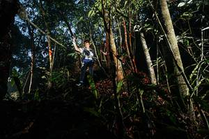 BIB: 
                            <button type="button" onclick="openModal(26390025)" class="btn btn-primary btn-sm float-right btn-popup" data-toggle="modal" data-target=".modal-high-quality">
                        <i class="fas fa-shopping-cart"></i> Add to Cart
                    </button>
                                            <button type="button" onclick="isThisMe(26390025, true)" class="btn btn-success btn-sm float-right btn-popup btn-isme hidden" data-toggle="tooltip" data-placement="bottom" title="นี่คือรูปของคุณใช่ไหม คลิกที่นี่เพื่อเอาเข้าอัลบั้ม">
                        <i class="fas fa-plus"></i> Add to album
                    </button>
                    <button type="button" onclick="isThisMe(26390025, false)" class="btn btn-warning btn-sm float-right btn-popup btn-isnotme hidden">
                        <i class="fas fa-ban"></i> Remove from album
                    </button>