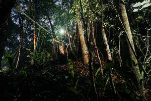 BIB: 
                            <button type="button" onclick="openModal(26388627)" class="btn btn-primary btn-sm float-right btn-popup" data-toggle="modal" data-target=".modal-high-quality">
                        <i class="fas fa-shopping-cart"></i> Add to Cart
                    </button>
                                            <button type="button" onclick="isThisMe(26388627, true)" class="btn btn-success btn-sm float-right btn-popup btn-isme hidden" data-toggle="tooltip" data-placement="bottom" title="นี่คือรูปของคุณใช่ไหม คลิกที่นี่เพื่อเอาเข้าอัลบั้ม">
                        <i class="fas fa-plus"></i> Add to album
                    </button>
                    <button type="button" onclick="isThisMe(26388627, false)" class="btn btn-warning btn-sm float-right btn-popup btn-isnotme hidden">
                        <i class="fas fa-ban"></i> Remove from album
                    </button>