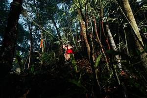 BIB: 
                            <button type="button" onclick="openModal(26392494)" class="btn btn-primary btn-sm float-right btn-popup" data-toggle="modal" data-target=".modal-high-quality">
                        <i class="fas fa-shopping-cart"></i> Add to Cart
                    </button>
                                            <button type="button" onclick="isThisMe(26392494, true)" class="btn btn-success btn-sm float-right btn-popup btn-isme hidden" data-toggle="tooltip" data-placement="bottom" title="นี่คือรูปของคุณใช่ไหม คลิกที่นี่เพื่อเอาเข้าอัลบั้ม">
                        <i class="fas fa-plus"></i> Add to album
                    </button>
                    <button type="button" onclick="isThisMe(26392494, false)" class="btn btn-warning btn-sm float-right btn-popup btn-isnotme hidden">
                        <i class="fas fa-ban"></i> Remove from album
                    </button>