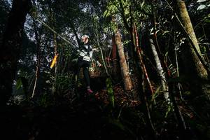 BIB: 
                            <button type="button" onclick="openModal(26389067)" class="btn btn-primary btn-sm float-right btn-popup" data-toggle="modal" data-target=".modal-high-quality">
                        <i class="fas fa-shopping-cart"></i> Add to Cart
                    </button>
                                            <button type="button" onclick="isThisMe(26389067, true)" class="btn btn-success btn-sm float-right btn-popup btn-isme hidden" data-toggle="tooltip" data-placement="bottom" title="นี่คือรูปของคุณใช่ไหม คลิกที่นี่เพื่อเอาเข้าอัลบั้ม">
                        <i class="fas fa-plus"></i> Add to album
                    </button>
                    <button type="button" onclick="isThisMe(26389067, false)" class="btn btn-warning btn-sm float-right btn-popup btn-isnotme hidden">
                        <i class="fas fa-ban"></i> Remove from album
                    </button>