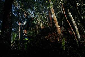 BIB: 
                            <button type="button" onclick="openModal(26388086)" class="btn btn-primary btn-sm float-right btn-popup" data-toggle="modal" data-target=".modal-high-quality">
                        <i class="fas fa-shopping-cart"></i> Add to Cart
                    </button>
                                            <button type="button" onclick="isThisMe(26388086, true)" class="btn btn-success btn-sm float-right btn-popup btn-isme hidden" data-toggle="tooltip" data-placement="bottom" title="นี่คือรูปของคุณใช่ไหม คลิกที่นี่เพื่อเอาเข้าอัลบั้ม">
                        <i class="fas fa-plus"></i> Add to album
                    </button>
                    <button type="button" onclick="isThisMe(26388086, false)" class="btn btn-warning btn-sm float-right btn-popup btn-isnotme hidden">
                        <i class="fas fa-ban"></i> Remove from album
                    </button>