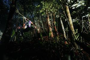 BIB: 
                            <button type="button" onclick="openModal(26386866)" class="btn btn-primary btn-sm float-right btn-popup" data-toggle="modal" data-target=".modal-high-quality">
                        <i class="fas fa-shopping-cart"></i> Add to Cart
                    </button>
                                            <button type="button" onclick="isThisMe(26386866, true)" class="btn btn-success btn-sm float-right btn-popup btn-isme hidden" data-toggle="tooltip" data-placement="bottom" title="นี่คือรูปของคุณใช่ไหม คลิกที่นี่เพื่อเอาเข้าอัลบั้ม">
                        <i class="fas fa-plus"></i> Add to album
                    </button>
                    <button type="button" onclick="isThisMe(26386866, false)" class="btn btn-warning btn-sm float-right btn-popup btn-isnotme hidden">
                        <i class="fas fa-ban"></i> Remove from album
                    </button>