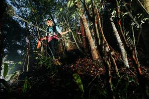 BIB: 
                            <button type="button" onclick="openModal(26389597)" class="btn btn-primary btn-sm float-right btn-popup" data-toggle="modal" data-target=".modal-high-quality">
                        <i class="fas fa-shopping-cart"></i> Add to Cart
                    </button>
                                            <button type="button" onclick="isThisMe(26389597, true)" class="btn btn-success btn-sm float-right btn-popup btn-isme hidden" data-toggle="tooltip" data-placement="bottom" title="นี่คือรูปของคุณใช่ไหม คลิกที่นี่เพื่อเอาเข้าอัลบั้ม">
                        <i class="fas fa-plus"></i> Add to album
                    </button>
                    <button type="button" onclick="isThisMe(26389597, false)" class="btn btn-warning btn-sm float-right btn-popup btn-isnotme hidden">
                        <i class="fas fa-ban"></i> Remove from album
                    </button>