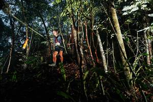 BIB: 
                            <button type="button" onclick="openModal(26391704)" class="btn btn-primary btn-sm float-right btn-popup" data-toggle="modal" data-target=".modal-high-quality">
                        <i class="fas fa-shopping-cart"></i> Add to Cart
                    </button>
                                            <button type="button" onclick="isThisMe(26391704, true)" class="btn btn-success btn-sm float-right btn-popup btn-isme hidden" data-toggle="tooltip" data-placement="bottom" title="นี่คือรูปของคุณใช่ไหม คลิกที่นี่เพื่อเอาเข้าอัลบั้ม">
                        <i class="fas fa-plus"></i> Add to album
                    </button>
                    <button type="button" onclick="isThisMe(26391704, false)" class="btn btn-warning btn-sm float-right btn-popup btn-isnotme hidden">
                        <i class="fas fa-ban"></i> Remove from album
                    </button>