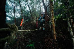 BIB: 
                            <button type="button" onclick="openModal(26401229)" class="btn btn-primary btn-sm float-right btn-popup" data-toggle="modal" data-target=".modal-high-quality">
                        <i class="fas fa-shopping-cart"></i> Add to Cart
                    </button>
                                            <button type="button" onclick="isThisMe(26401229, true)" class="btn btn-success btn-sm float-right btn-popup btn-isme hidden" data-toggle="tooltip" data-placement="bottom" title="นี่คือรูปของคุณใช่ไหม คลิกที่นี่เพื่อเอาเข้าอัลบั้ม">
                        <i class="fas fa-plus"></i> Add to album
                    </button>
                    <button type="button" onclick="isThisMe(26401229, false)" class="btn btn-warning btn-sm float-right btn-popup btn-isnotme hidden">
                        <i class="fas fa-ban"></i> Remove from album
                    </button>