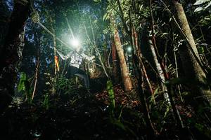 BIB: 
                            <button type="button" onclick="openModal(26387635)" class="btn btn-primary btn-sm float-right btn-popup" data-toggle="modal" data-target=".modal-high-quality">
                        <i class="fas fa-shopping-cart"></i> Add to Cart
                    </button>
                                            <button type="button" onclick="isThisMe(26387635, true)" class="btn btn-success btn-sm float-right btn-popup btn-isme hidden" data-toggle="tooltip" data-placement="bottom" title="นี่คือรูปของคุณใช่ไหม คลิกที่นี่เพื่อเอาเข้าอัลบั้ม">
                        <i class="fas fa-plus"></i> Add to album
                    </button>
                    <button type="button" onclick="isThisMe(26387635, false)" class="btn btn-warning btn-sm float-right btn-popup btn-isnotme hidden">
                        <i class="fas fa-ban"></i> Remove from album
                    </button>