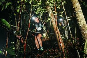 BIB: 
                            <button type="button" onclick="openModal(26382800)" class="btn btn-primary btn-sm float-right btn-popup" data-toggle="modal" data-target=".modal-high-quality">
                        <i class="fas fa-shopping-cart"></i> Add to Cart
                    </button>
                                            <button type="button" onclick="isThisMe(26382800, true)" class="btn btn-success btn-sm float-right btn-popup btn-isme hidden" data-toggle="tooltip" data-placement="bottom" title="นี่คือรูปของคุณใช่ไหม คลิกที่นี่เพื่อเอาเข้าอัลบั้ม">
                        <i class="fas fa-plus"></i> Add to album
                    </button>
                    <button type="button" onclick="isThisMe(26382800, false)" class="btn btn-warning btn-sm float-right btn-popup btn-isnotme hidden">
                        <i class="fas fa-ban"></i> Remove from album
                    </button>