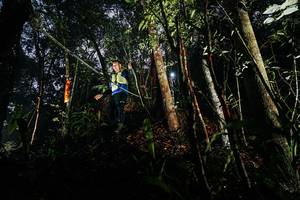 BIB: 
                            <button type="button" onclick="openModal(26388778)" class="btn btn-primary btn-sm float-right btn-popup" data-toggle="modal" data-target=".modal-high-quality">
                        <i class="fas fa-shopping-cart"></i> Add to Cart
                    </button>
                                            <button type="button" onclick="isThisMe(26388778, true)" class="btn btn-success btn-sm float-right btn-popup btn-isme hidden" data-toggle="tooltip" data-placement="bottom" title="นี่คือรูปของคุณใช่ไหม คลิกที่นี่เพื่อเอาเข้าอัลบั้ม">
                        <i class="fas fa-plus"></i> Add to album
                    </button>
                    <button type="button" onclick="isThisMe(26388778, false)" class="btn btn-warning btn-sm float-right btn-popup btn-isnotme hidden">
                        <i class="fas fa-ban"></i> Remove from album
                    </button>